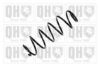 QUINTON HAZELL QCS6010 Coil Spring